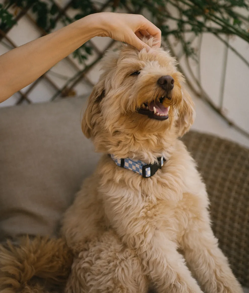 Collar PET Reciclado Diseño Vichy Azul, Juno