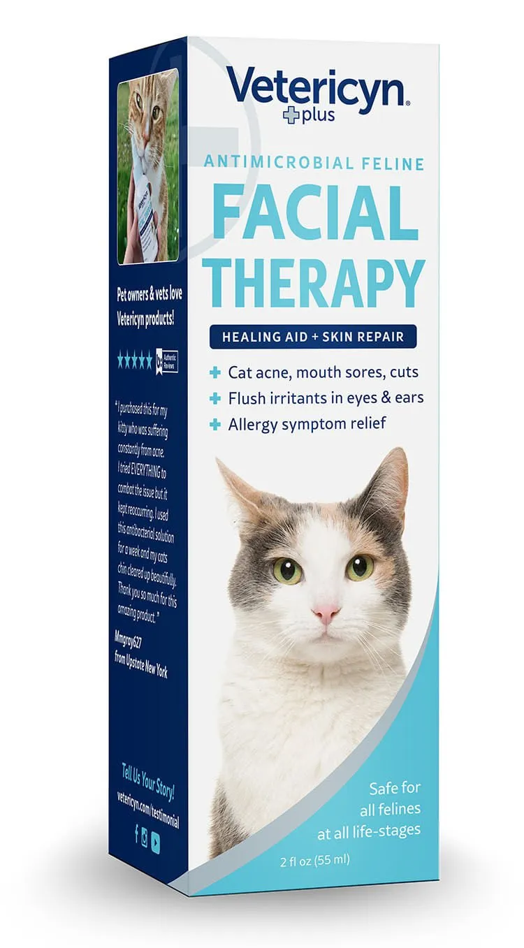 Feline Antimicrobial Facial Therapy