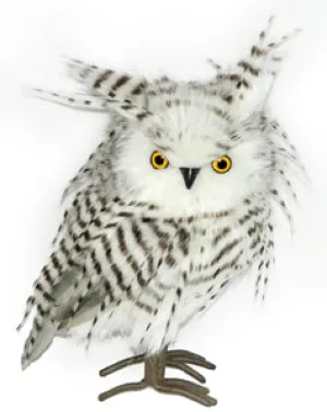 Hibou 8 po gris et blanc
