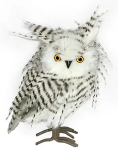 Hibou 8 po gris et blanc