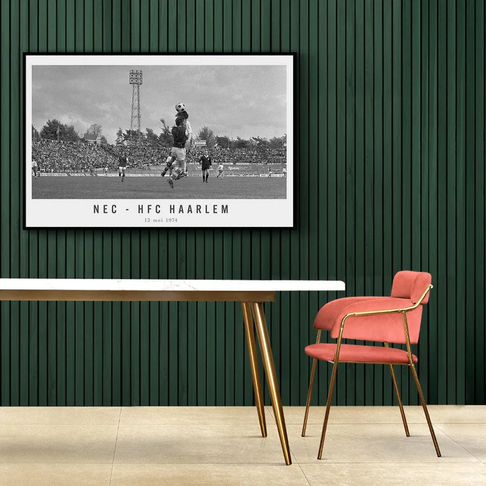 NEC - HFC Haarlem '74